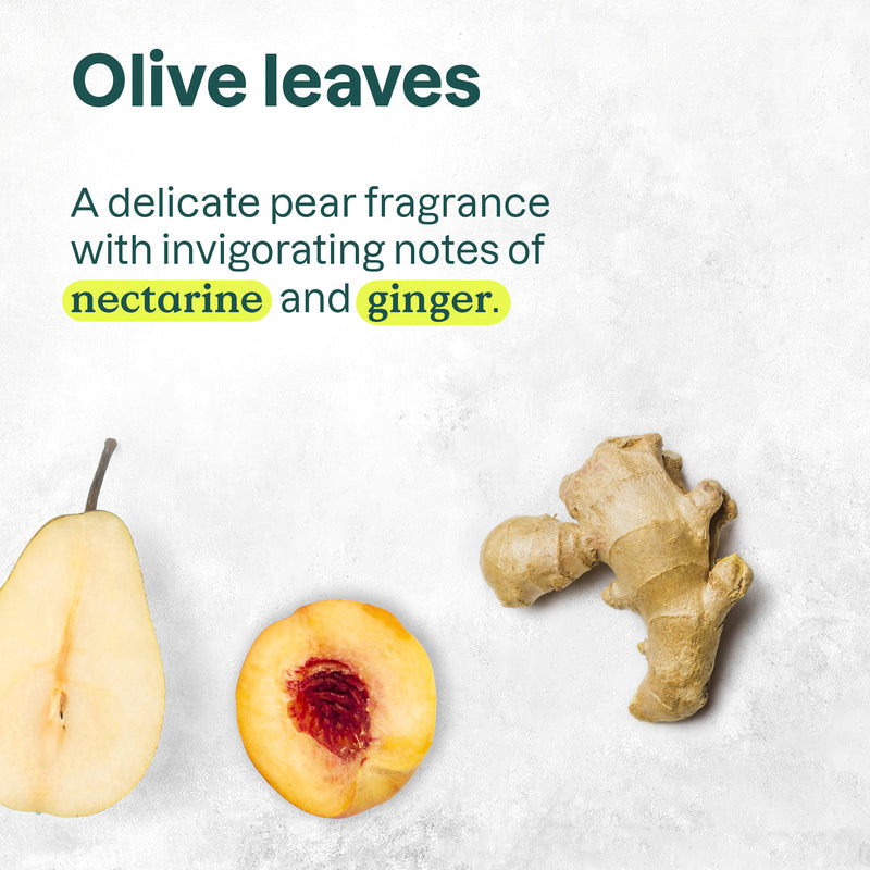 ATTITUDE Super leaves™ Shower Gel Nourishing Olive Leaves 11293_en? 473 mL