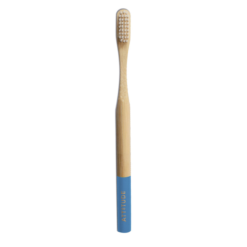 Adult toothbrush