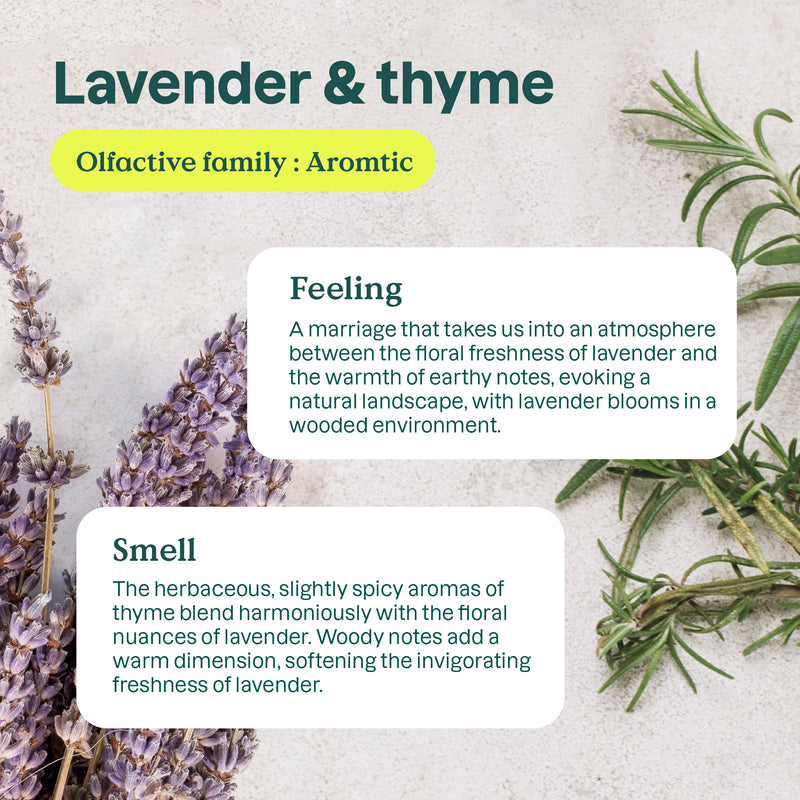 ATTITUDE Nature+ Kitchen Cleaner Disinfectant Lavender Thyme 10682_en?