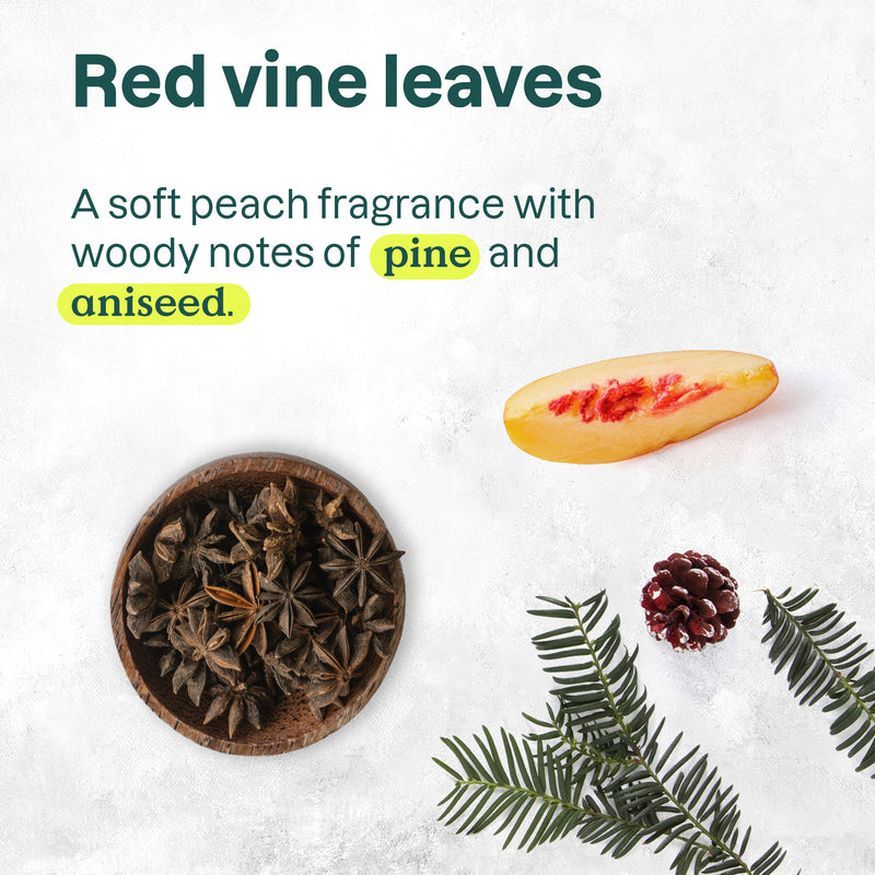 ATTITUDE Super leaves™ Foaming Hand Soap Vine Leaves & Pomegranate 14084_en? 295 mL