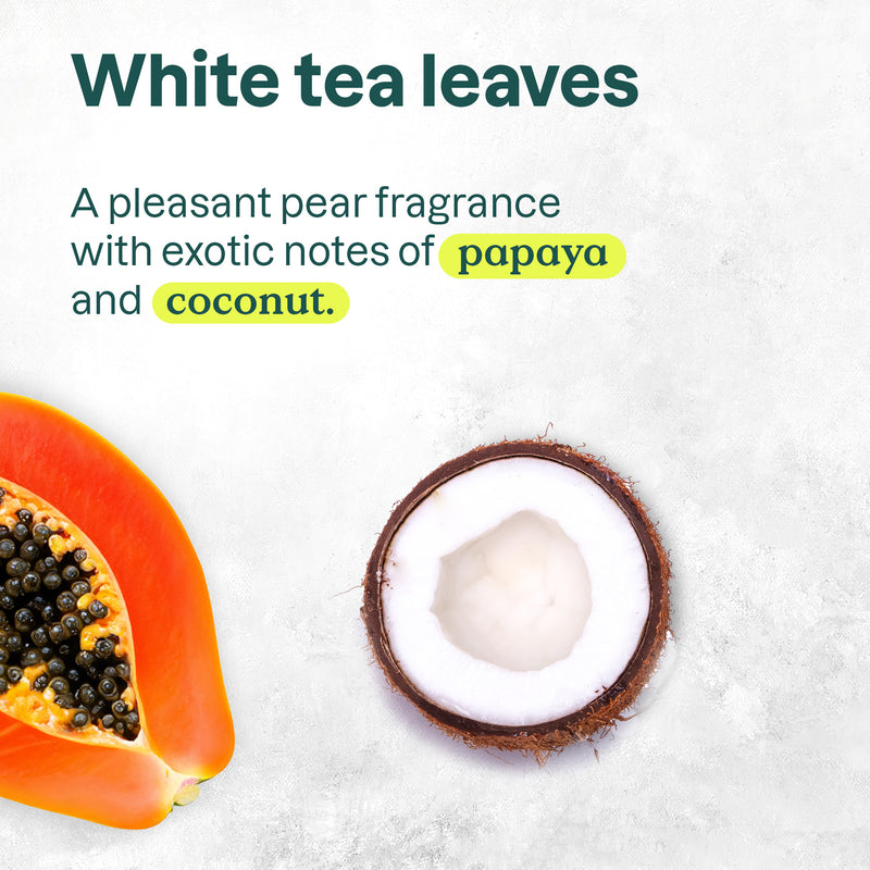 ATTITUDE Super leaves™ Liquid Hand Soap White Tea Leaves 14097_en? White Tea Leaves 473 mL