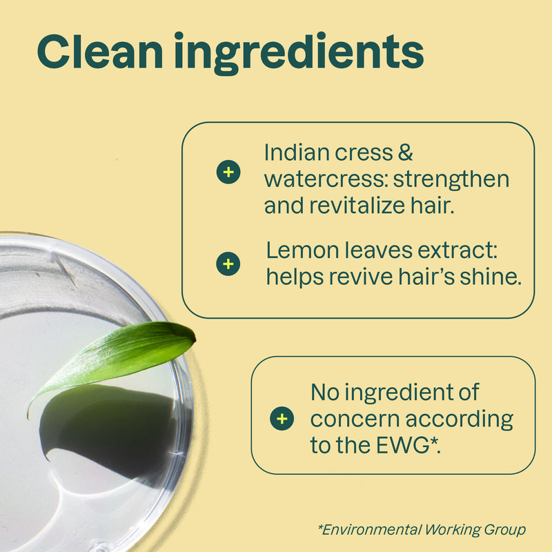 Shampoo Clarifying : Super leaves™ : Deep cleaning and Restores brilliance _en? ALL_VARIANTS